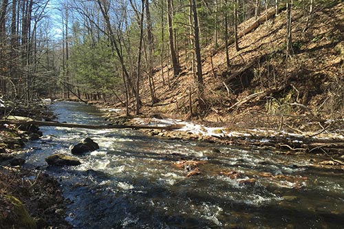 Great Hollow Nature Preserve & Research Center