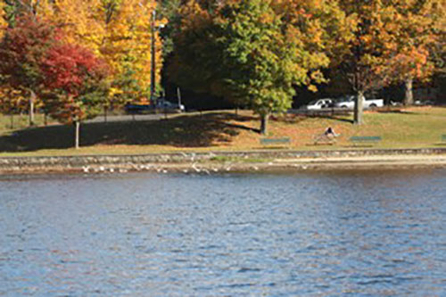 Danbury Town Park