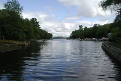 Latins Cove Danbury, CT